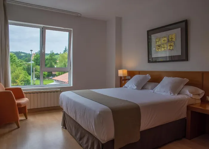 Hotel Miera